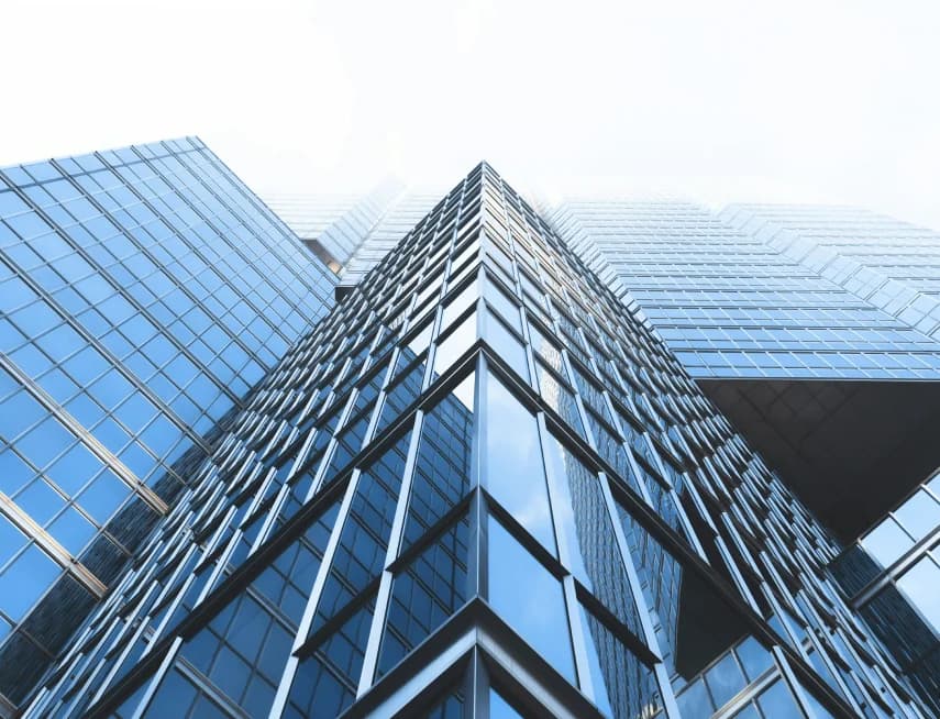 BVC Team